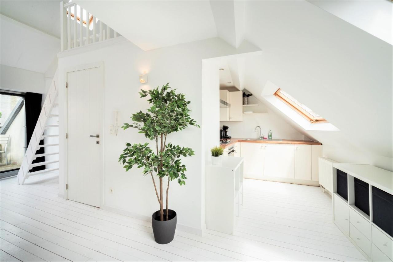 Beautiful Cozy Apartments In The Heart Of Antwerpen Exteriör bild